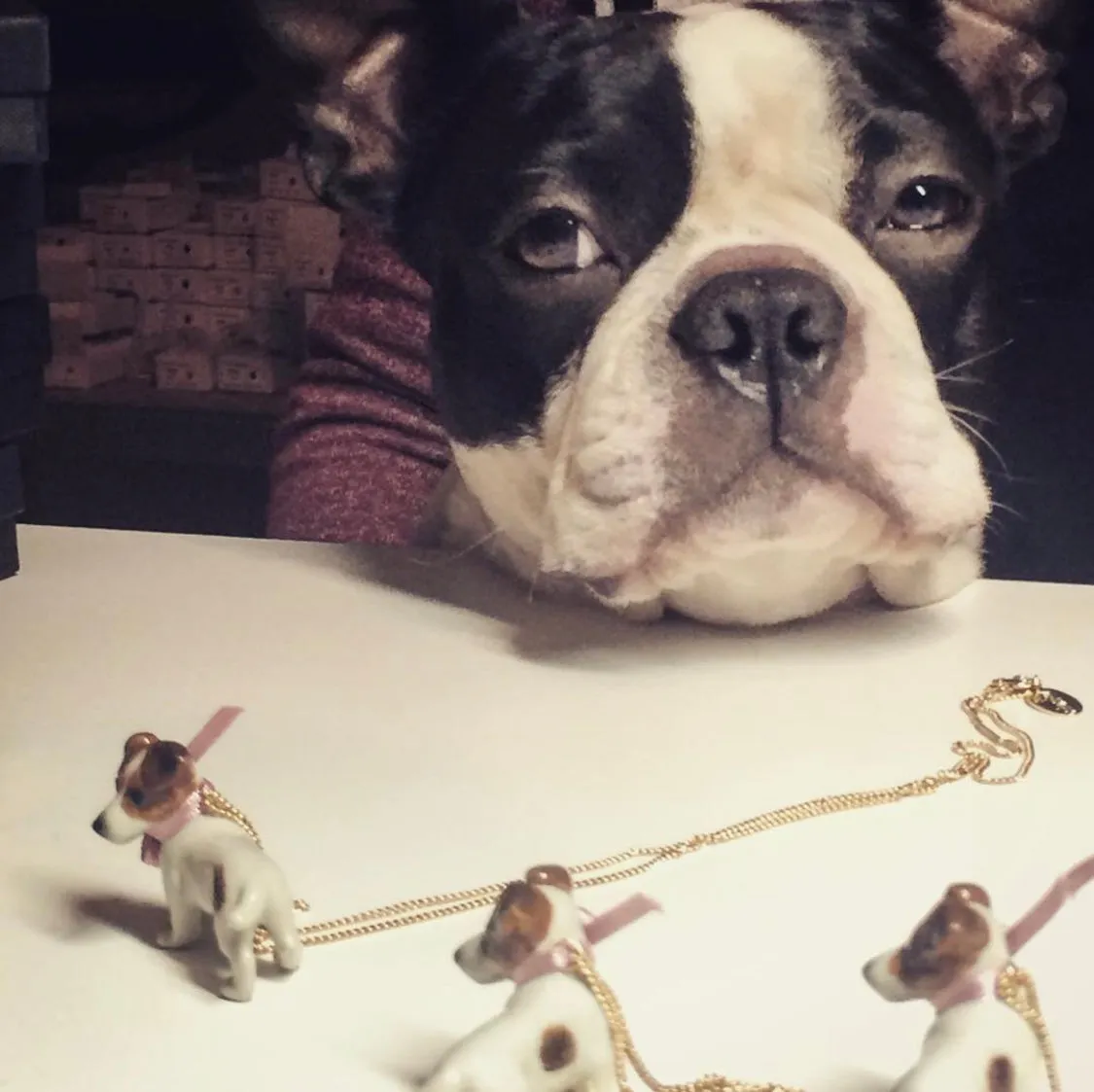 Jack Russel Necklace by And Mary in porcelaine