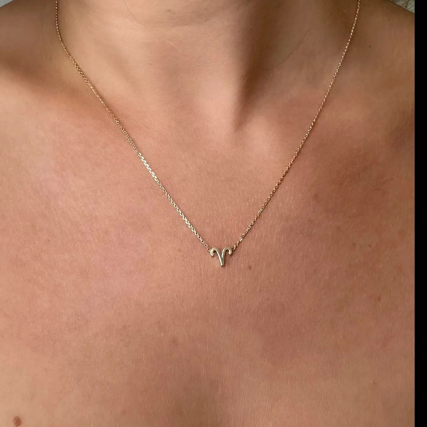 Silver Gemini Zodiac Necklace